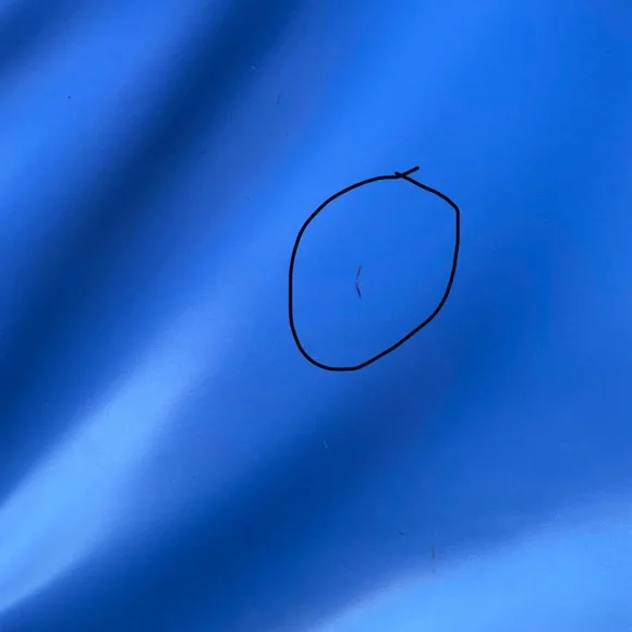 Littlest Pet Shop Carrying Storage Case with Accessories - Picture 14 of 15